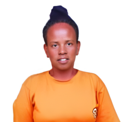 ميستوات جيليشو لوراتو